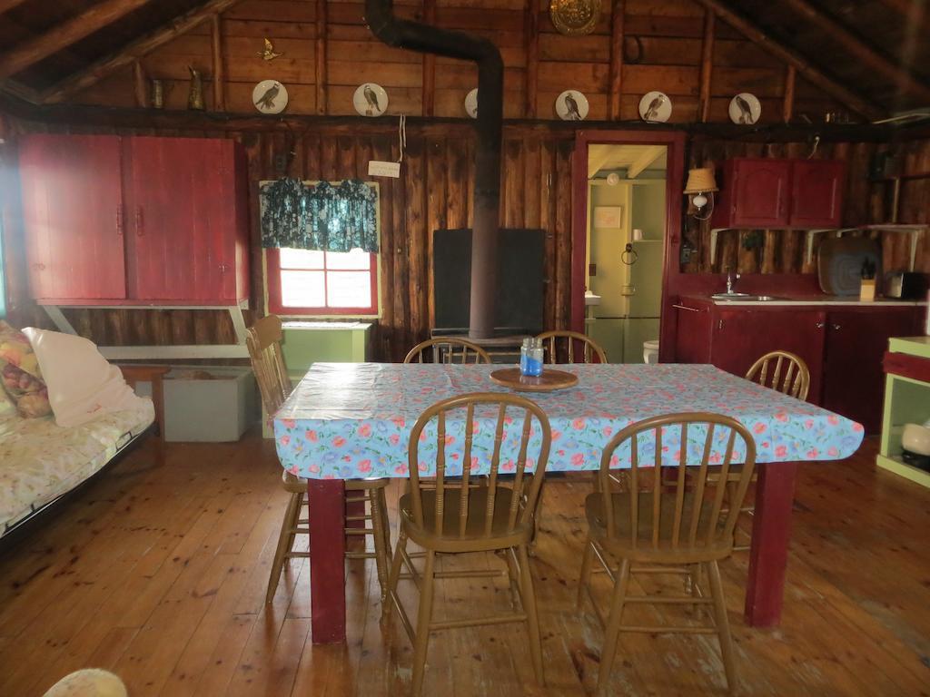 Lake Wolsey Cabins Hotell Gore Bay Rum bild